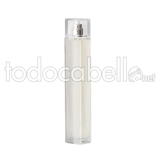 Donna Karan Dkny 100 Vaporizador Eau De Perfume