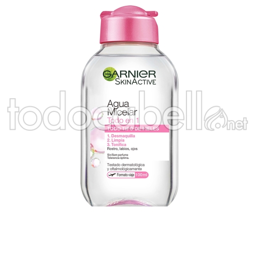 Garnier Skin Naturals Agua Micelar Todo En Uno 100 Ml