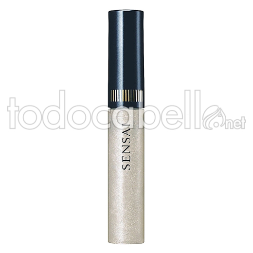 Kanebo Silky Lip Gloss 01