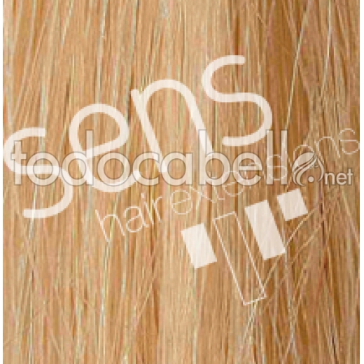 Extensiones Cabello 100% Natural Cosido Human Remy Liso 90x50cm nº24