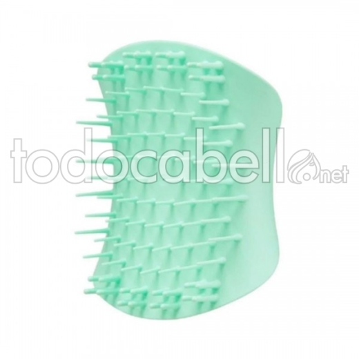 Tangle Teezer Scalp Brushes ref green 1 U