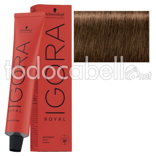 Schwarzkopf Tinte Igora Royal 6-46 Rubio Oscuro Beige Chocolate 60ml + oxigenada en promoción